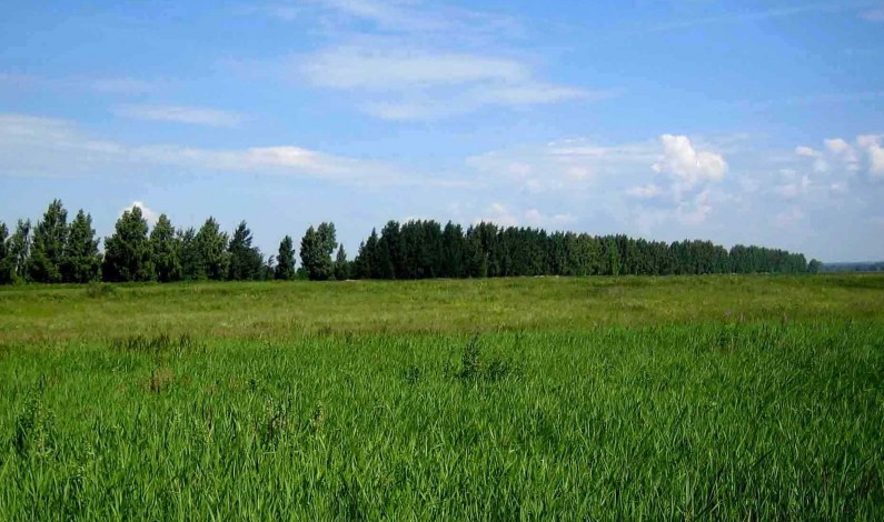 Цены на земельные участки на 2015 году в России. Прогноз. Цены на земельные участки на 2015 году в России. Прогноз.